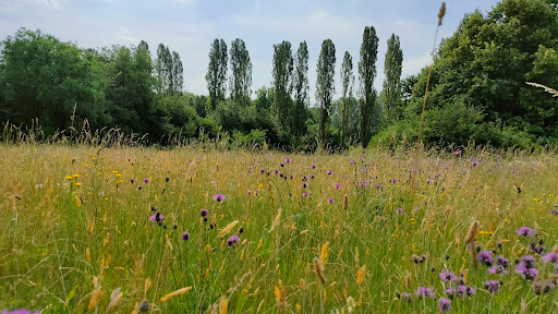 Parco Nord - Thumbnail