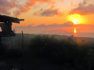 Photo n°26 de Table Paysanne Agni à La Saline (Restaurant)