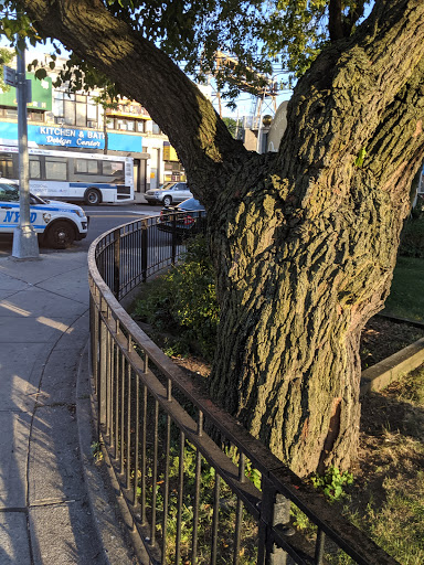 Queens Village Veterans Plaza Gallery - United States