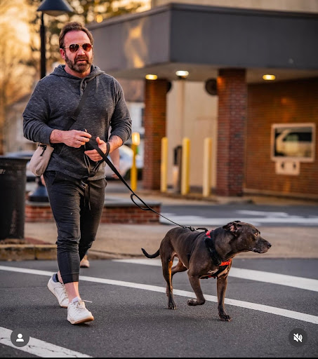 Avatar for Lambertville Home Restoration