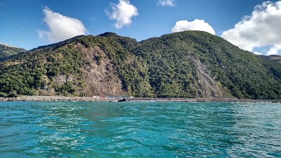 Photos of Kaikoura Fishing Charters