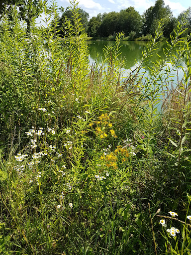 Finsinger Weiher - Visual
