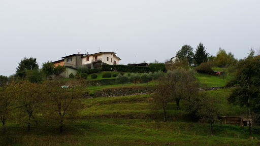 Roggeri Amilcare - Thumbnail