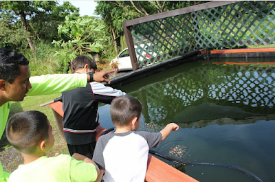 Hawaii Tropical Fish Gardens