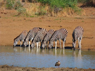 Photos of Mmilo Tours cc