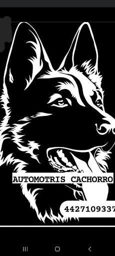 Automotriz cachorro