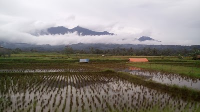 Photos of KocoDeptStore