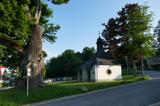 Badangerlinde - Thumbnail