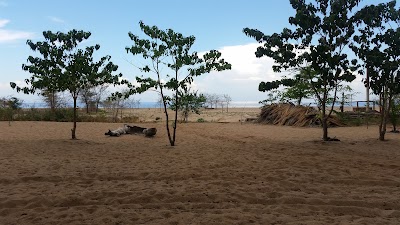 Photos of Hakuna Matata Campsite