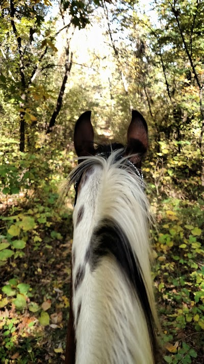 ROCKHAVEN PARK EQUESTRIAN CAMPGROUND (recgovnpsdata)