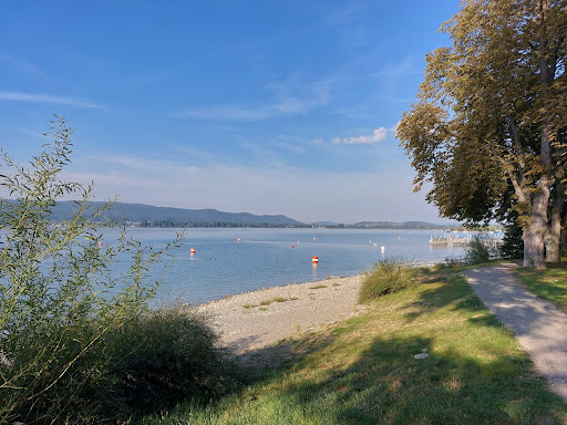 Mettnau - Thumbnail