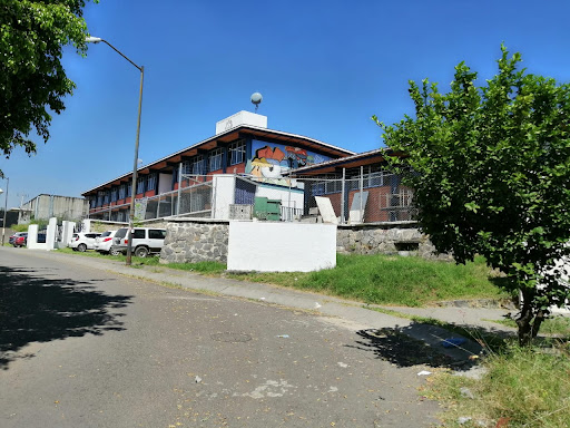 Escuela Secundaria Tecnica 173 "Marcelino Dávalos Vázquez"