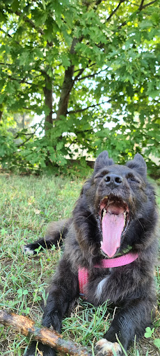 Parco dell'Orsa Minore