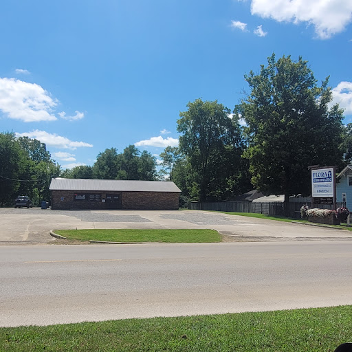 Flora Chiropractic - Visual