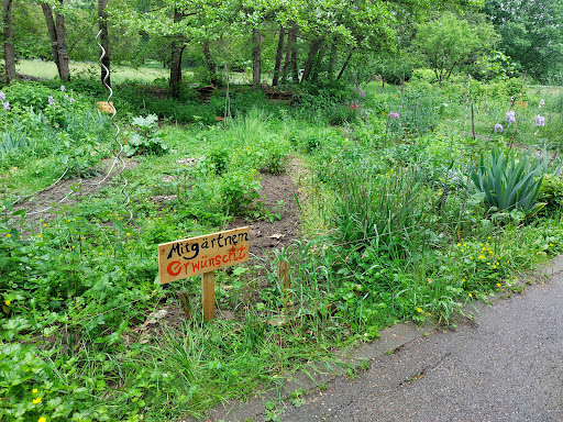 Klimagarten Dietenbach Park - Thumbnail