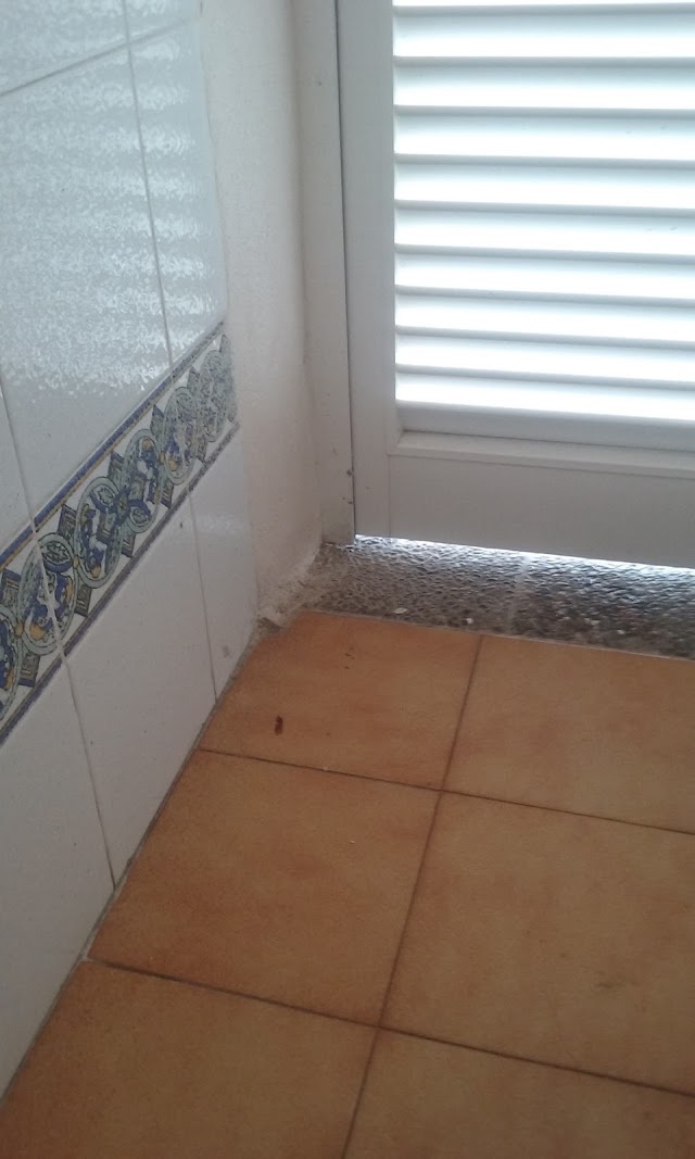 SENTIDO Don Pedro