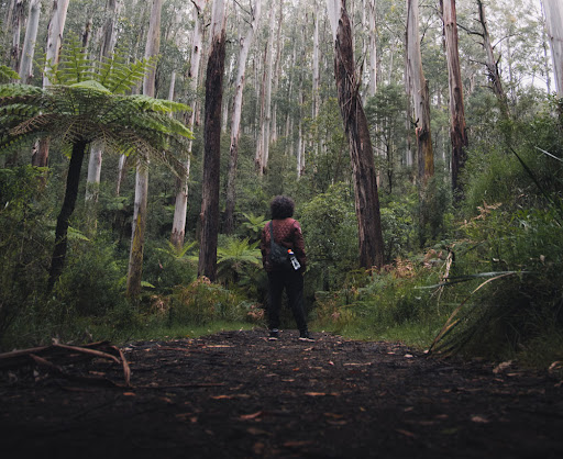 Villages of Mt Dandenong