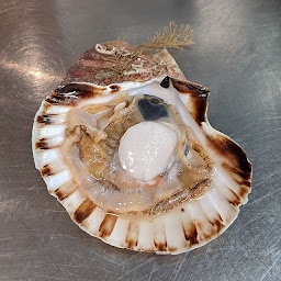 Photo n°15 de Bellus Fortis à Beaufort-en-Anjou (Restaurant)