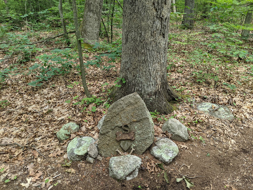 Nathan Hale State Forest - Thumbnail