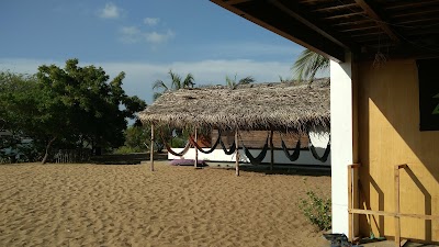 Photos of Srilankakite