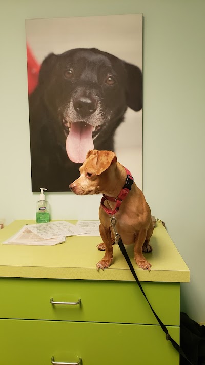 Susan M. Markel Veterinary Hospital at the Richmond SPCA