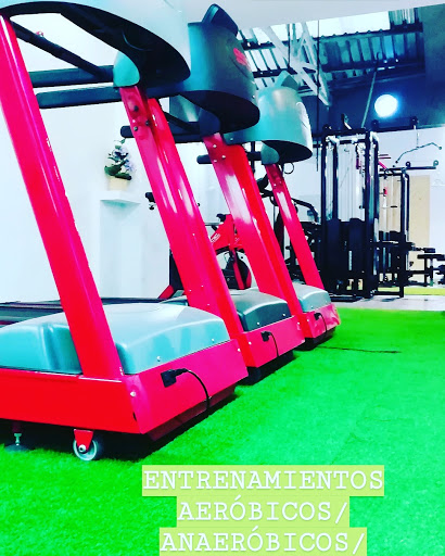 Wheneverfitness Gallery - Spain