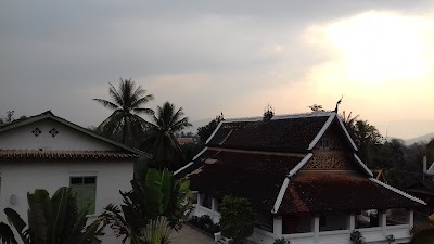 Photos of Lao Green