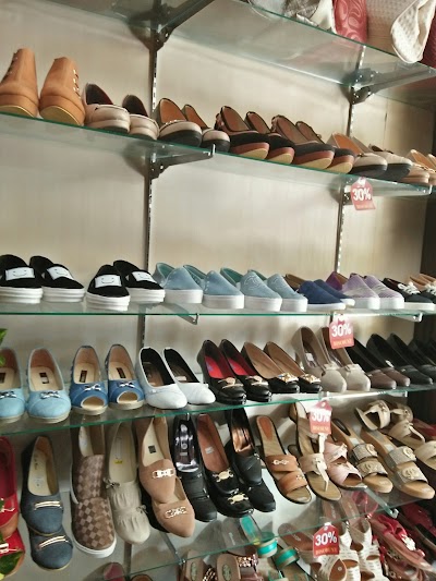 Photos of VIOLA Collection