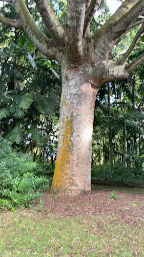 Comentários e avaliações sobre o Jardim Botânico José do Canto