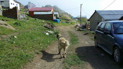 Alkoyun Yaylası