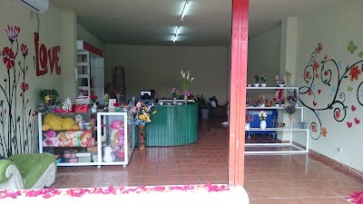 Photos of JARDIN DE SUE&Ntilde;OS " YESLY "