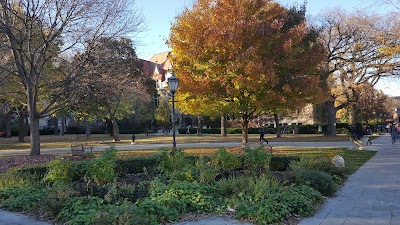 Photos of The University of Chicago