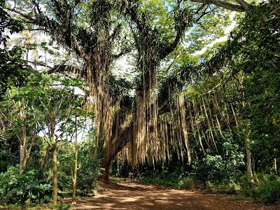 Honolua Park