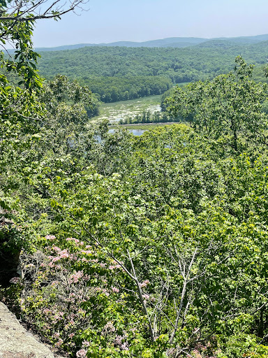 Ice Pond conservation area - Thumbnail