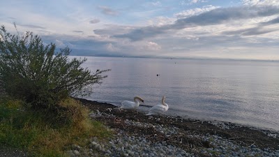 Photos of Familienferiendorf Langenargen