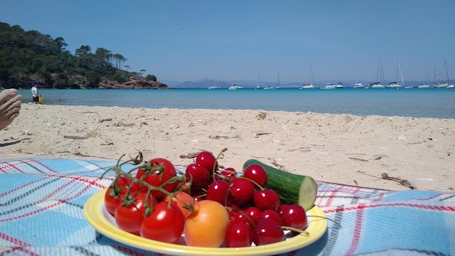PLAGE NOTRE DAME PQS