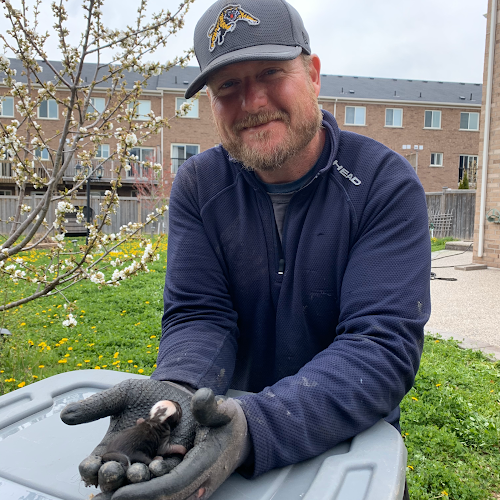 Home Free Wildlife and Pest Removal Inc photo 1