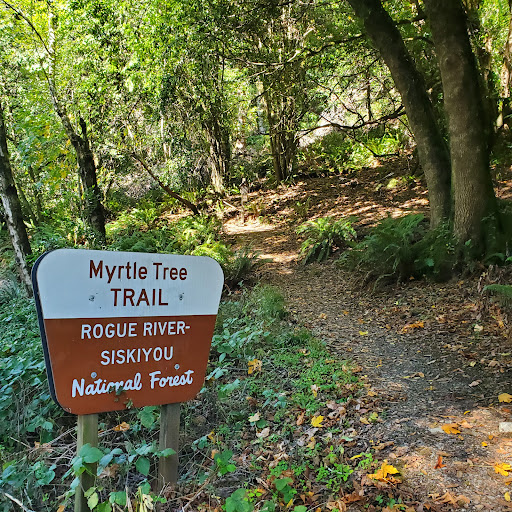 Myrtle Tree trail - Visual