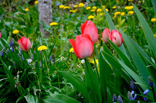 Photo n°4 de La Béquie à Limeuil (Chambre d'hôtes)