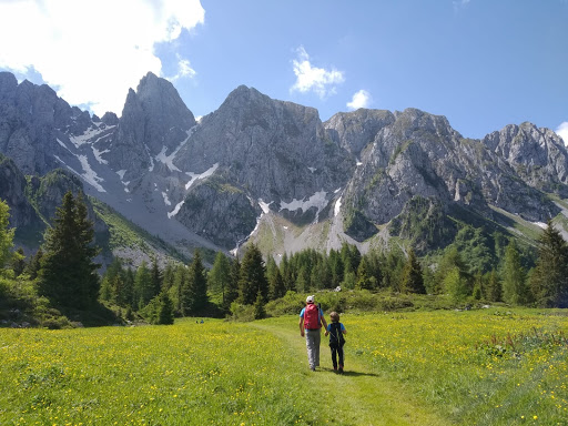 Alpe Sasso Bisolo - Thumbnail