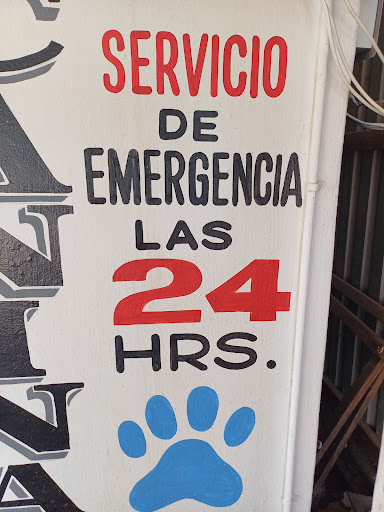Clínica veterinaria y estética canina Valencia - Thumbnail