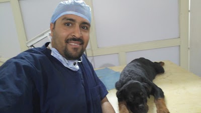 Photos of مركز الأسكندريه للحيوانات الاليفه بميامى