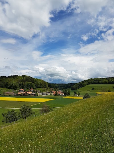 Photos of Gemeindeverwaltung Seeberg