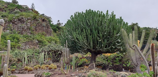 Botanical Garden Entrada Superior
