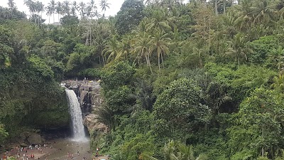 photo of Waterfall Park