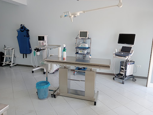 Dott. Santi Coppolino Medico Veterinario