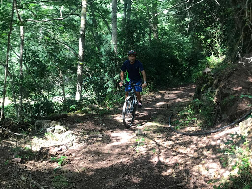 Verdebike - Visual