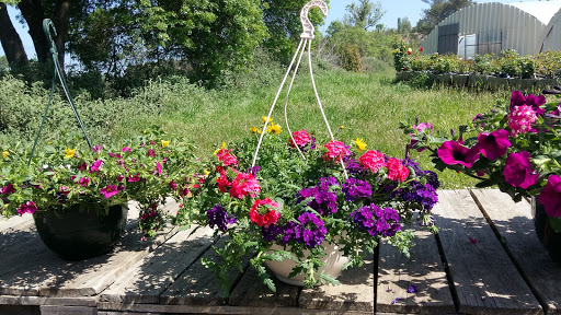 Photo de UNIK - ESAT Véronique - Unapei 30 à Saint-Laurent-des-Arbres (30126)