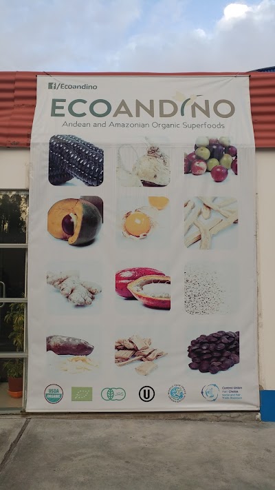 photo of Ecoandino