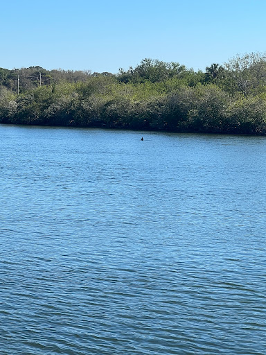 Fishing Pier At Anclote Gulf Park - Thumbnail